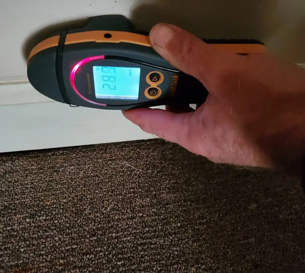 Moisture detection at baseboard during Sewage Cleanup & Sanitation in Huntington